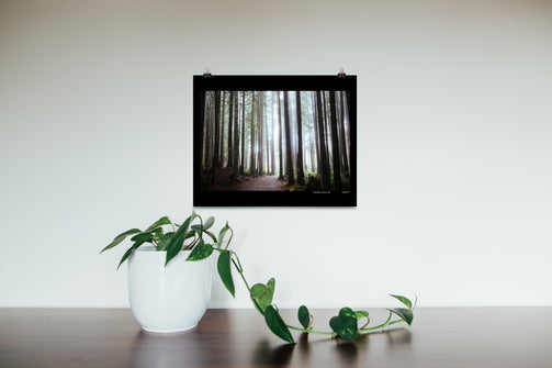 A Photograph Titled 'China Beach' by Saidia Z. Ariss (Juan De Fuca, BC) 16x20