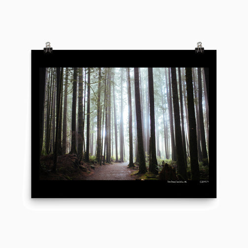 A Photograph Titled 'China Beach' by Saidia Z. Ariss (Juan De Fuca, BC) 16x20